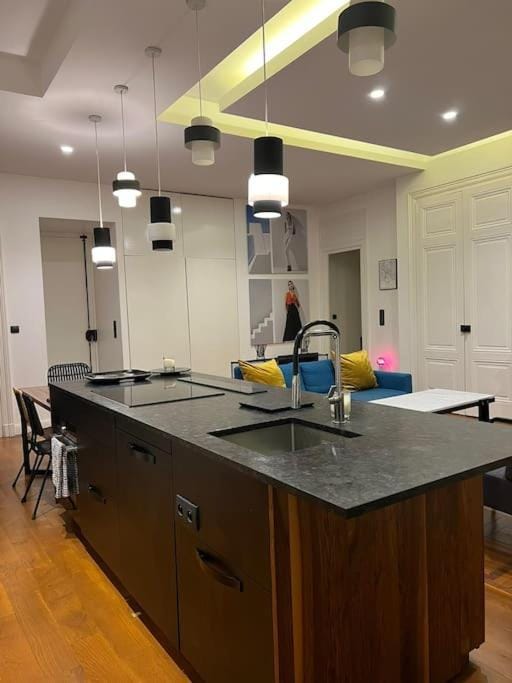 Stunning apartment in the center of Lyon ! Apartment in Lyon