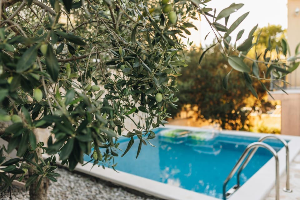 Day, Natural landscape, Garden, Garden view, Pool view, Swimming pool