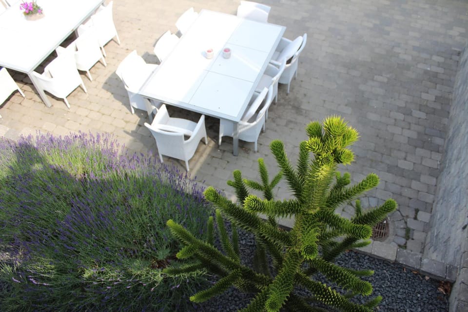 Balcony/Terrace, Dining area