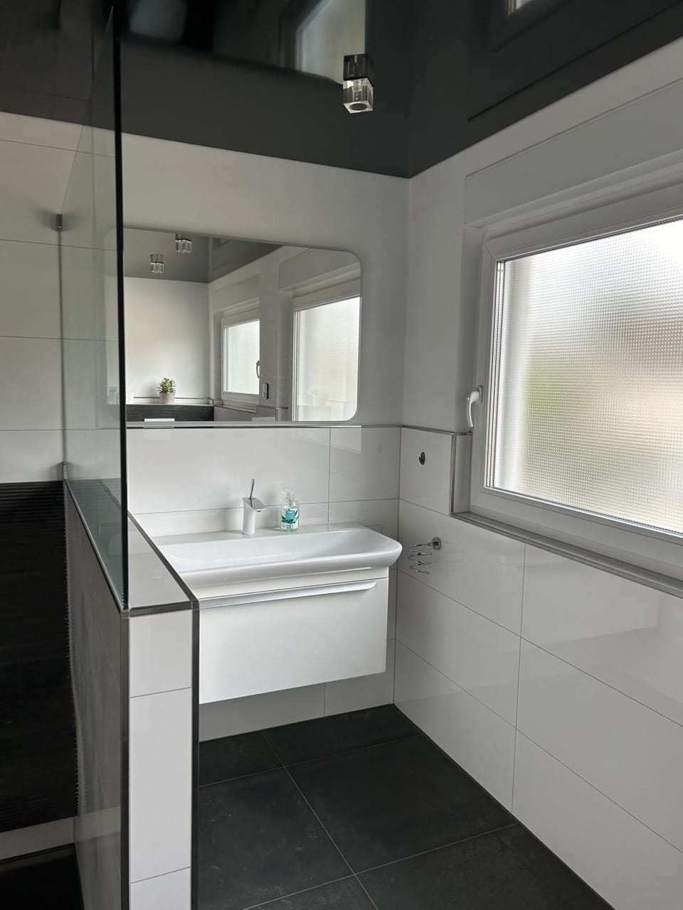 Alex Design Appartment Apartment in Baden-Württemberg
