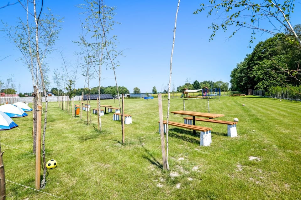 Spring, Day, Natural landscape, Garden, Garden view