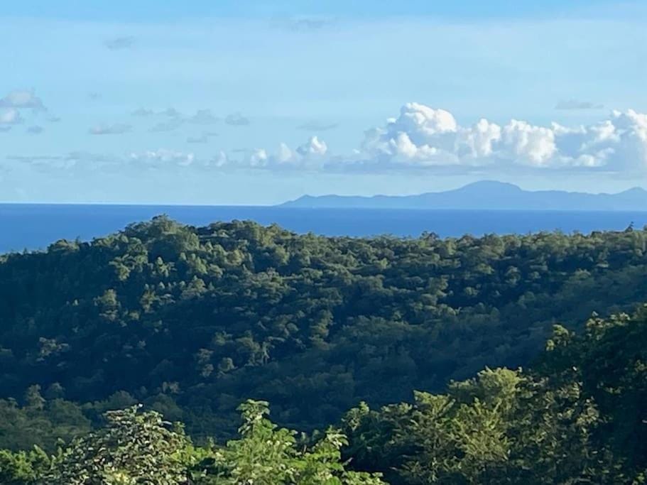 Sea view