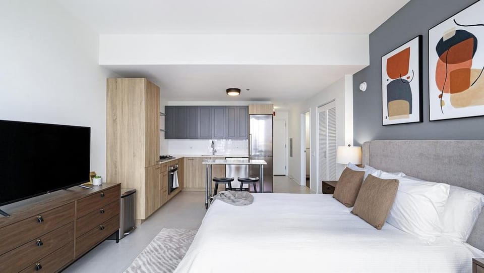 Landing Modern Apartment with Amazing Amenities (ID5503X93) Apartment in Chicago