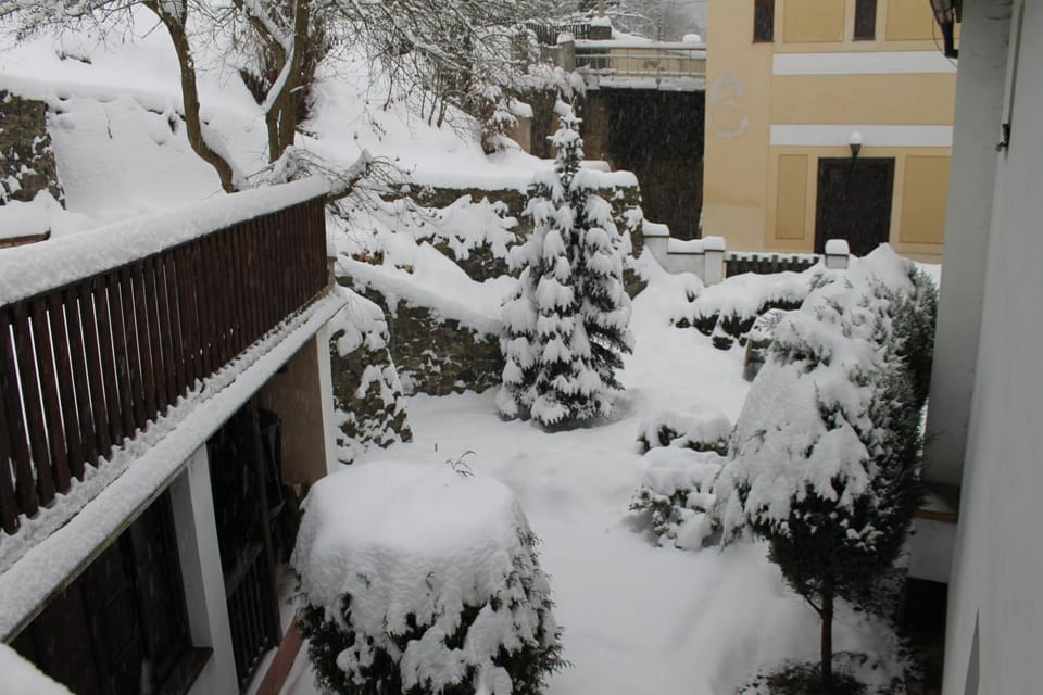 Penzion v Budech Bed and Breakfast in Czechia