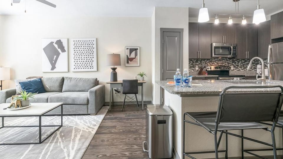 Landing Modern Apartment with Amazing Amenities (ID1172X300) Apartment in San Antonio