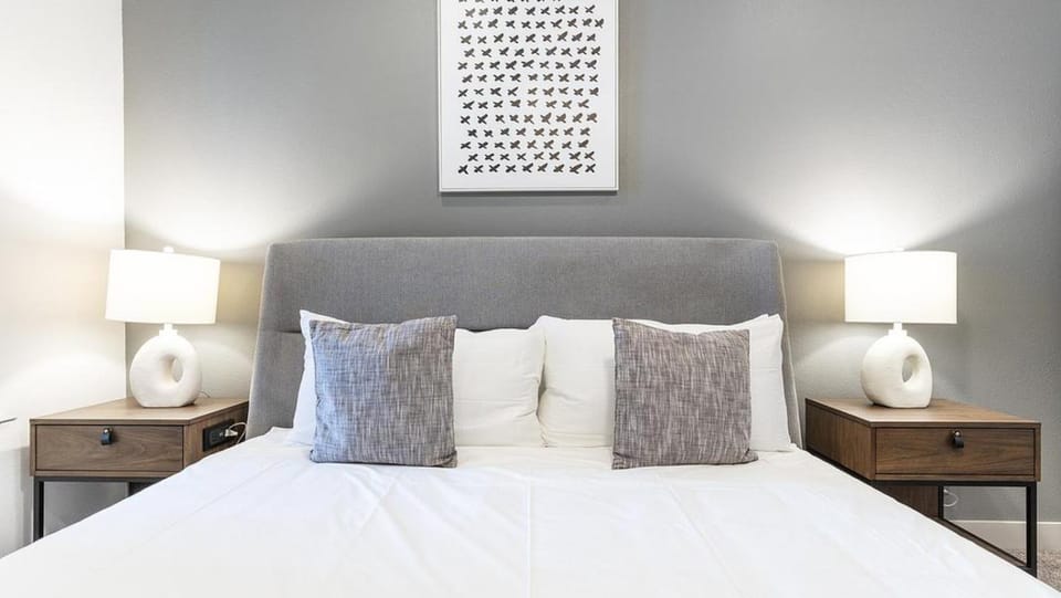 Landing Modern Apartment with Amazing Amenities (ID8754X25) Apartment in Austin