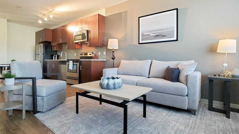 Landing Modern Apartment with Amazing Amenities (ID3173X70) Apartment in Denver
