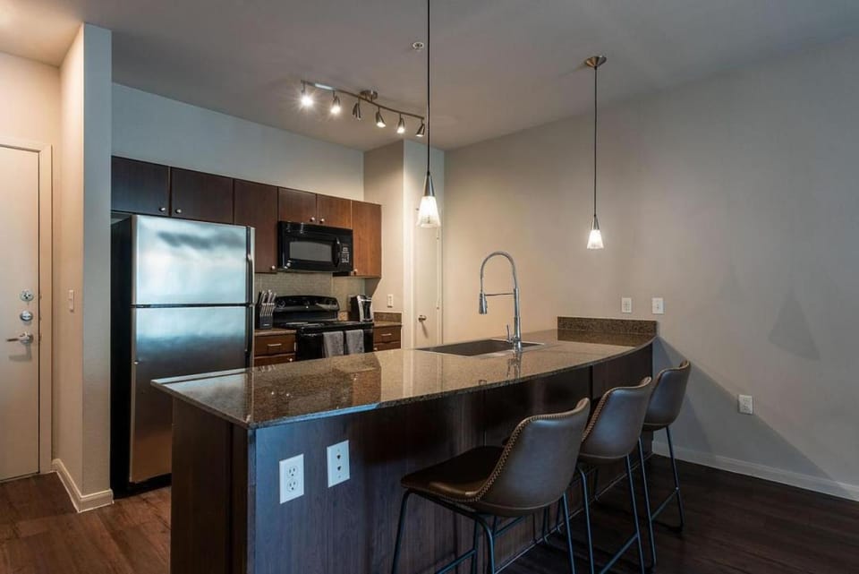 Landing Modern Apartment with Amazing Amenities (ID2977X82) Apartment in Austin