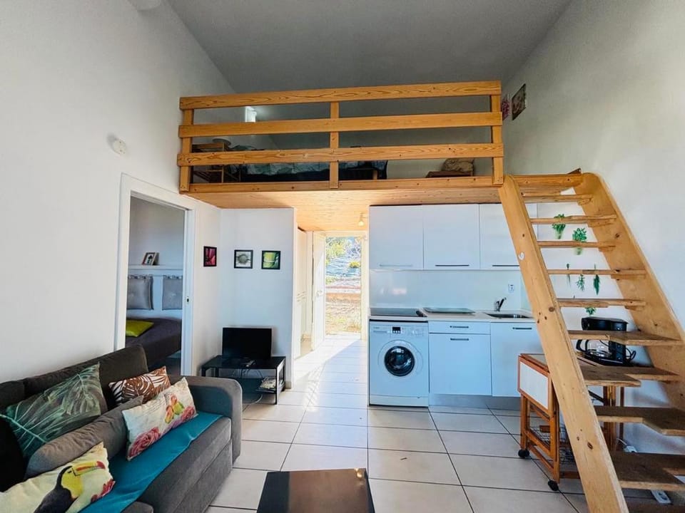 Kitchen or kitchenette, Living room, Seating area, Dining area, Bedroom