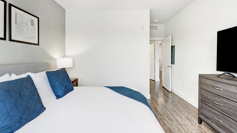Landing Modern Apartment with Amazing Amenities (ID4250X31) Apartment in The Colony