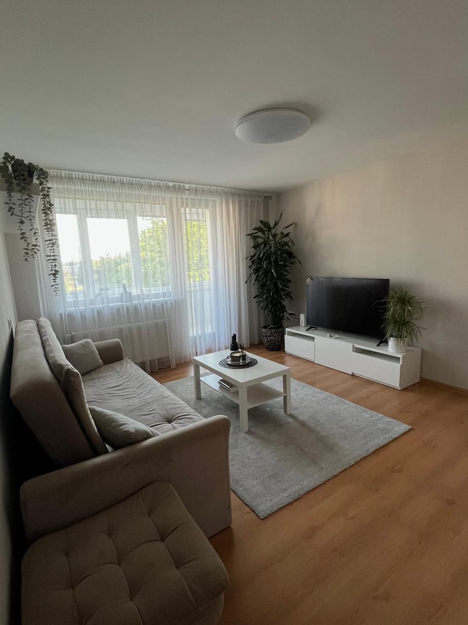 Bed, Living room