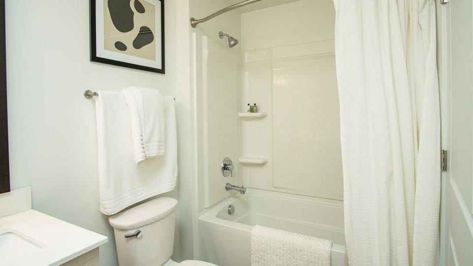 Landing Modern Apartment with Amazing Amenities (ID1470X54) Apartment in Salt Lake City