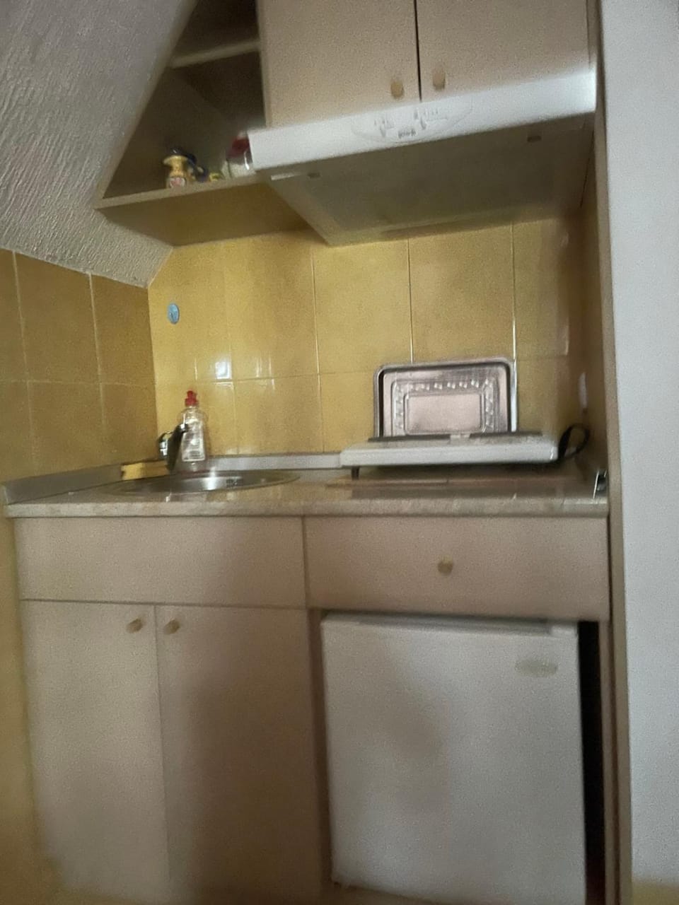 Vila Miris borova Zlatibor CENTAR Apartment in Zlatibor