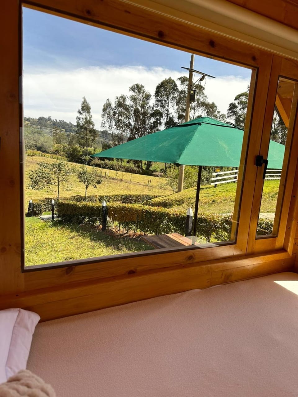 Bed, Natural landscape, Garden view
