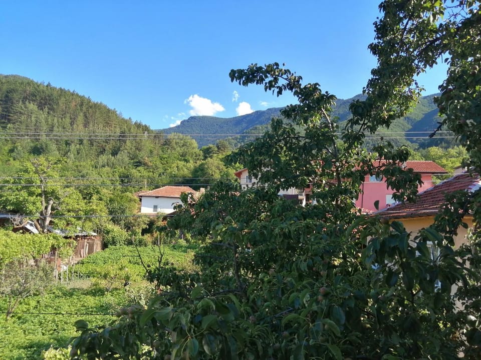Dariya Guest House Bed and Breakfast in North Macedonia