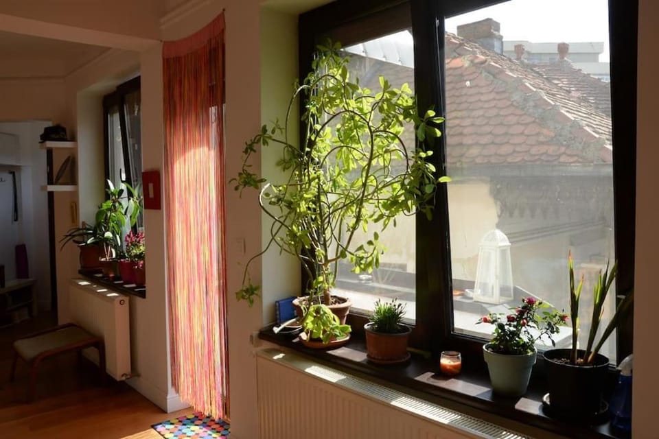Old Town Bohemian Studio with garden view balcony Apartment in Bucharest