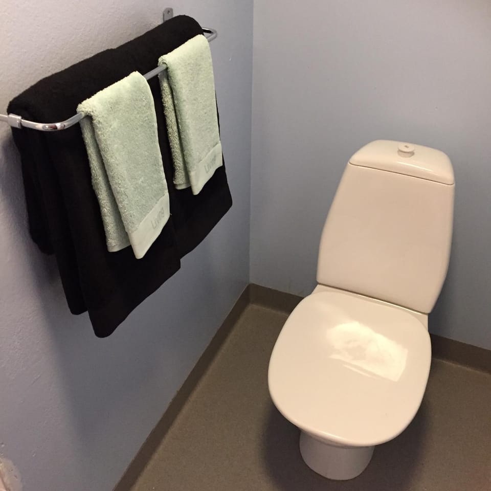 Toilet, Bathroom