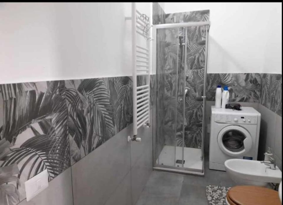 Shower, Toilet, Bathroom, washing machine