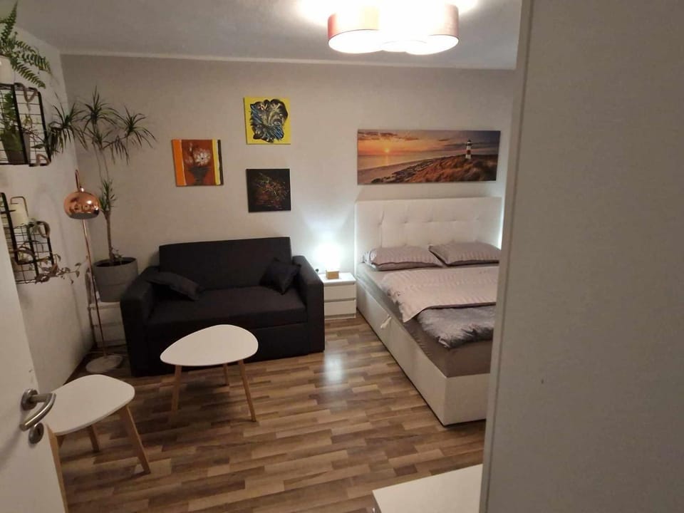 Studio Bizjak Apartment in Slovenia