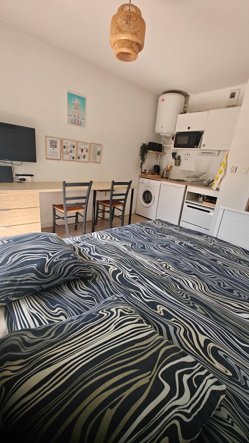 Kitchen or kitchenette, Living room, Photo of the whole room, Bedroom