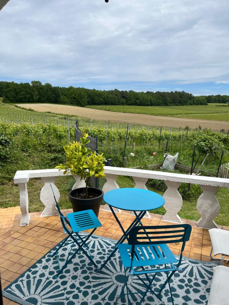 Aux vignes d’Arnaud Bed and Breakfast in Occitanie
