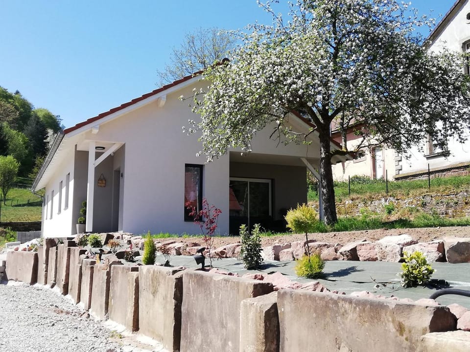 Property building, Garden, Garden view