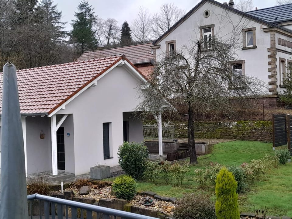 Garden, Garden, Garden view, Garden view