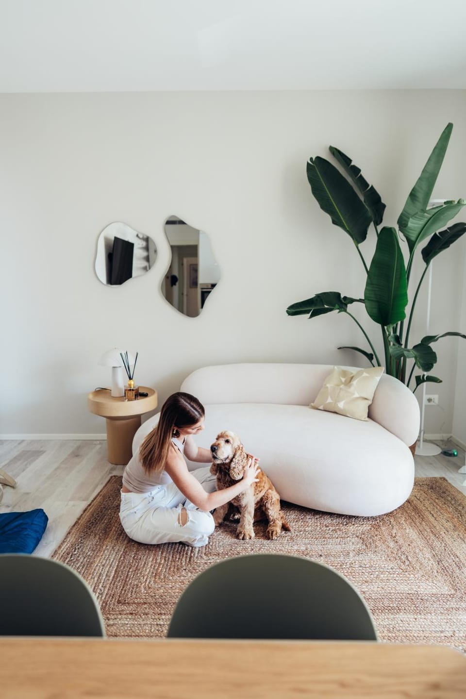 Living room, Animals