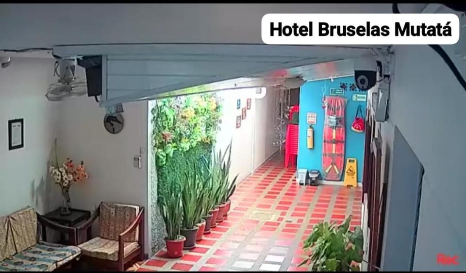 Hotel Bruselas Mutata Hotel in Choco, Colombia