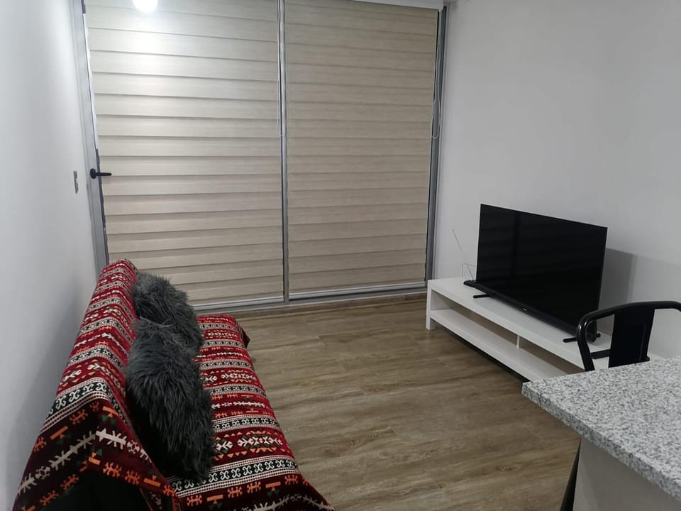 Relájate en Valparaíso y Viña del Mar Apartment in Valparaiso