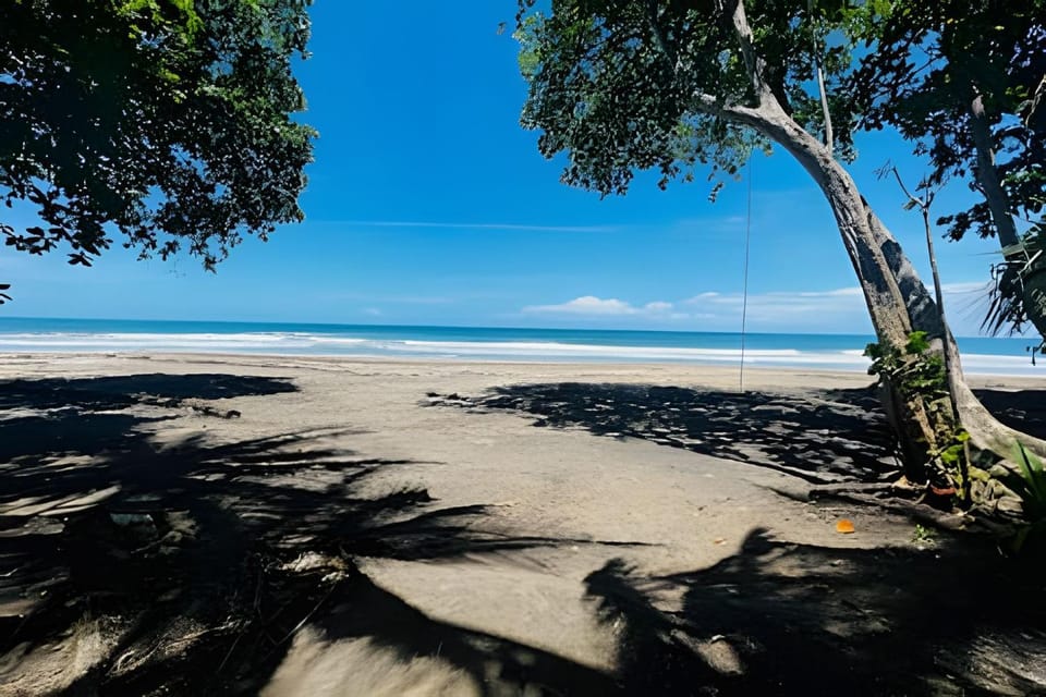 Nearby landmark, Day, Natural landscape, Beach, Sea view