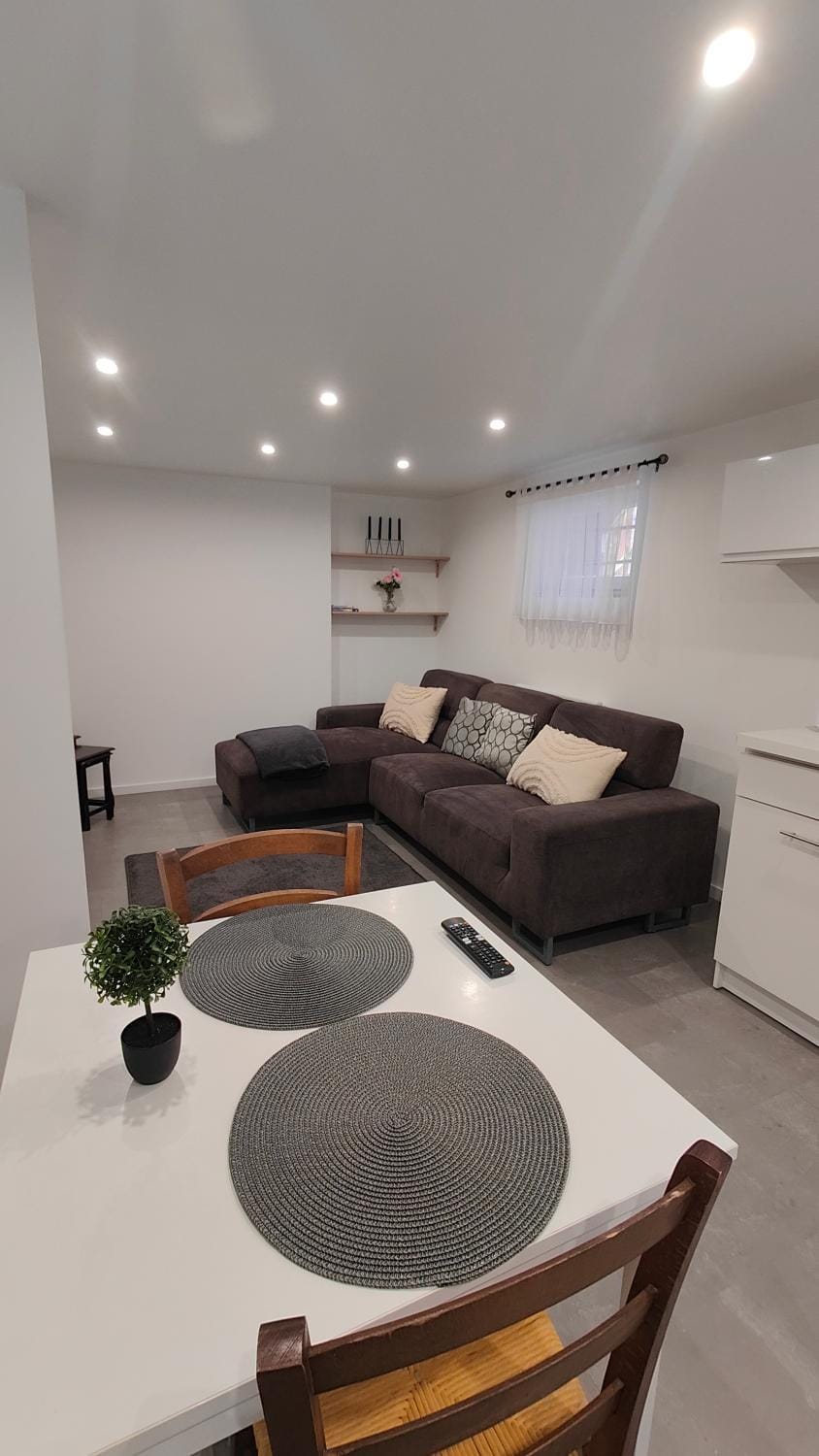 Bel appartement F2 entièrement rénové Apartment in Sélestat