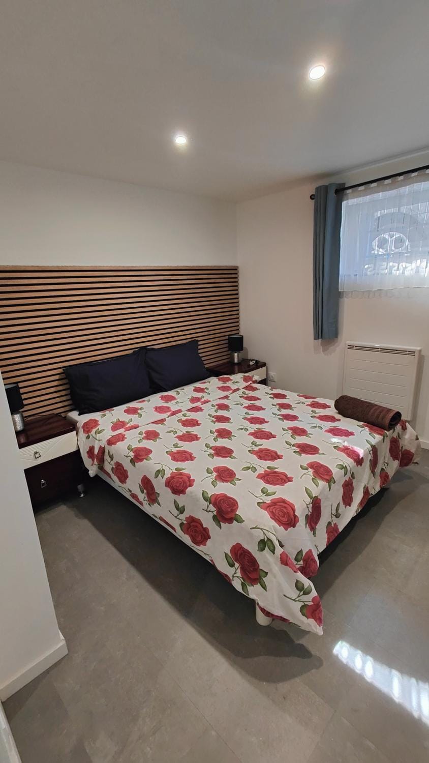 Bel appartement F2 entièrement rénové Apartment in Sélestat