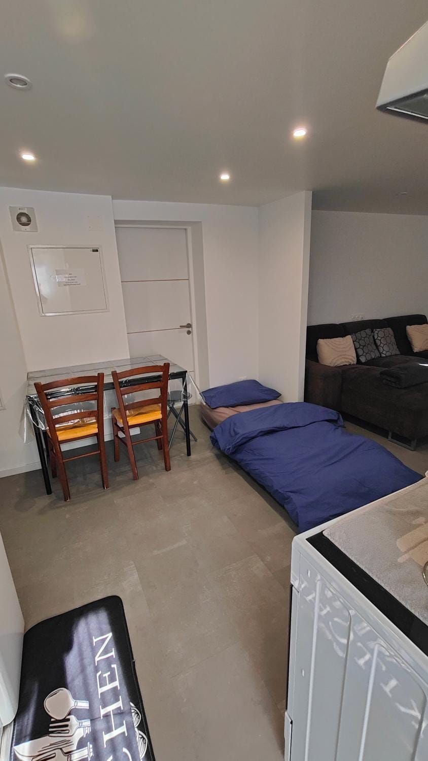Bel appartement F2 entièrement rénové Apartment in Sélestat