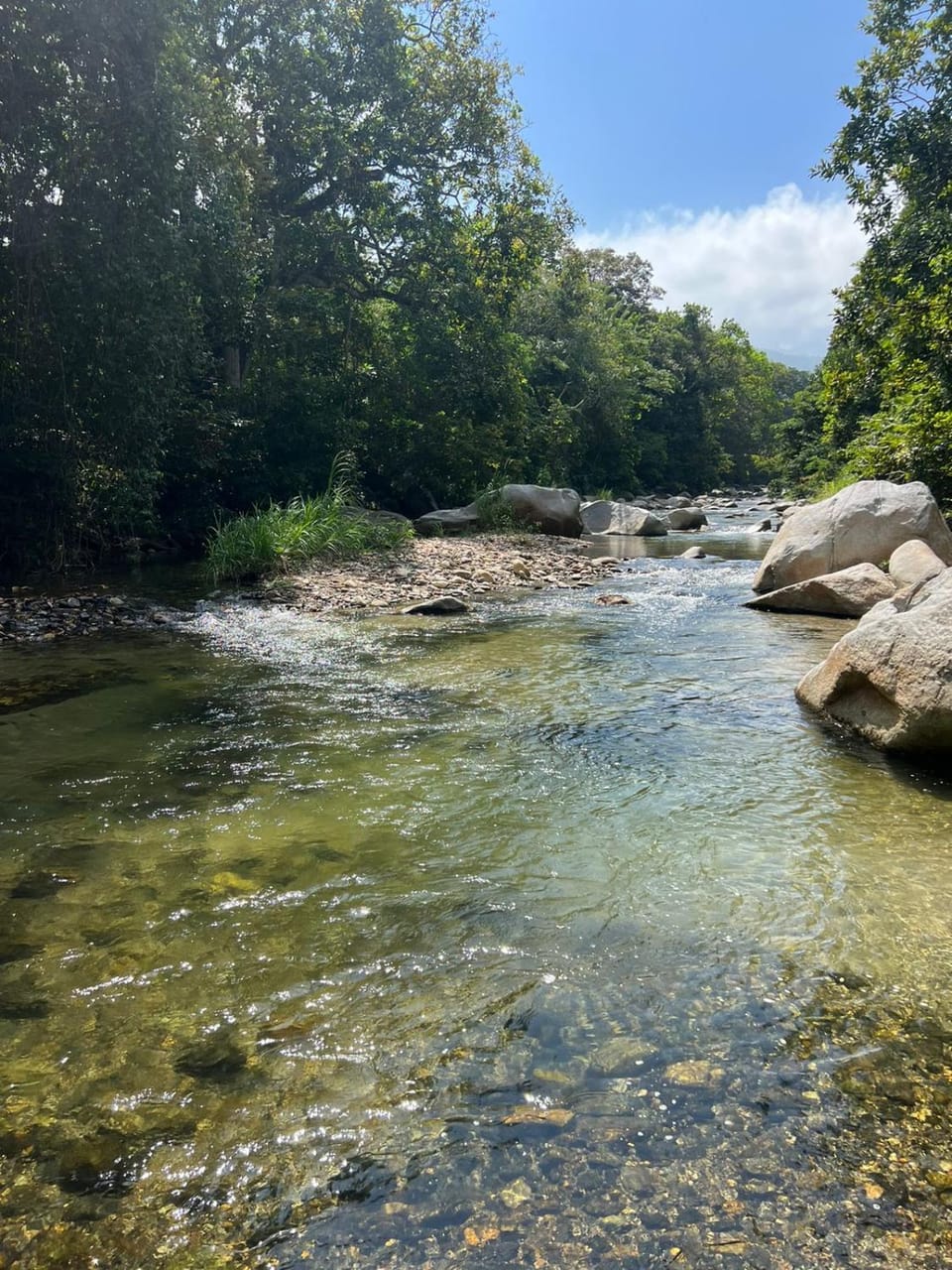 Day, Natural landscape, River view