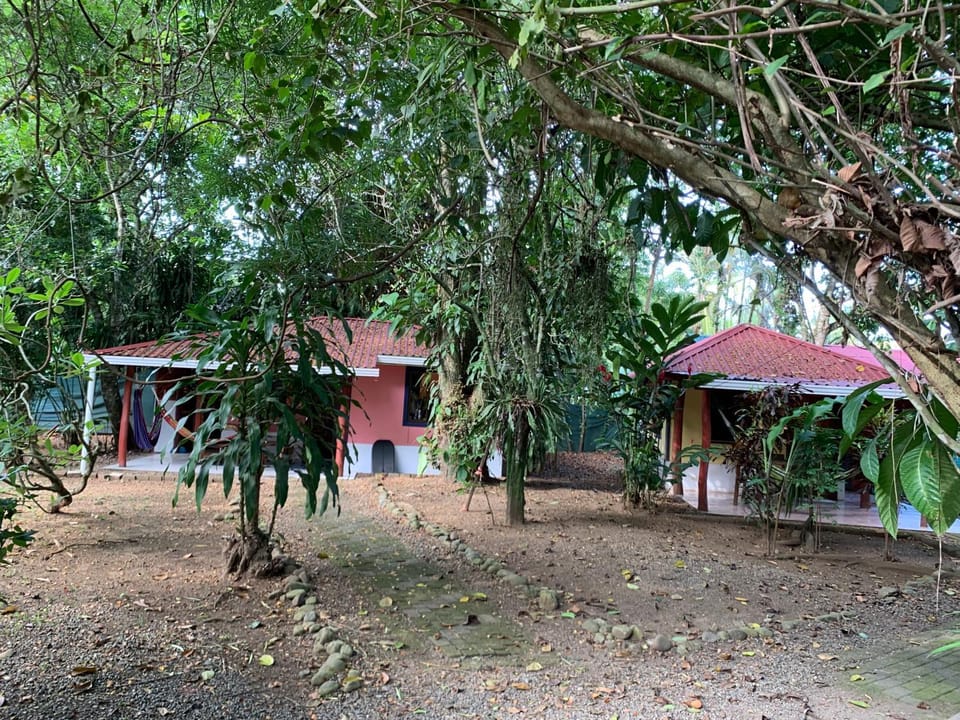 Property building, Garden