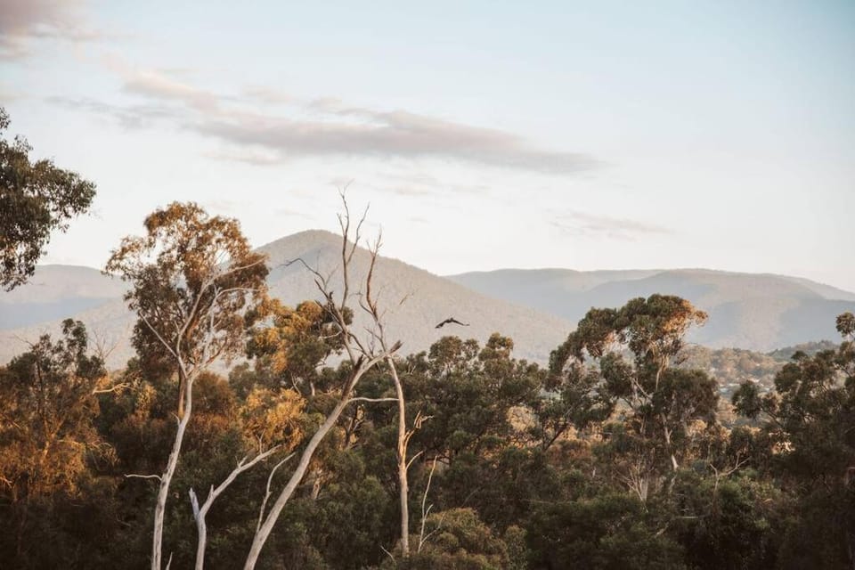 Tarrawarra Retreat House in Healesville