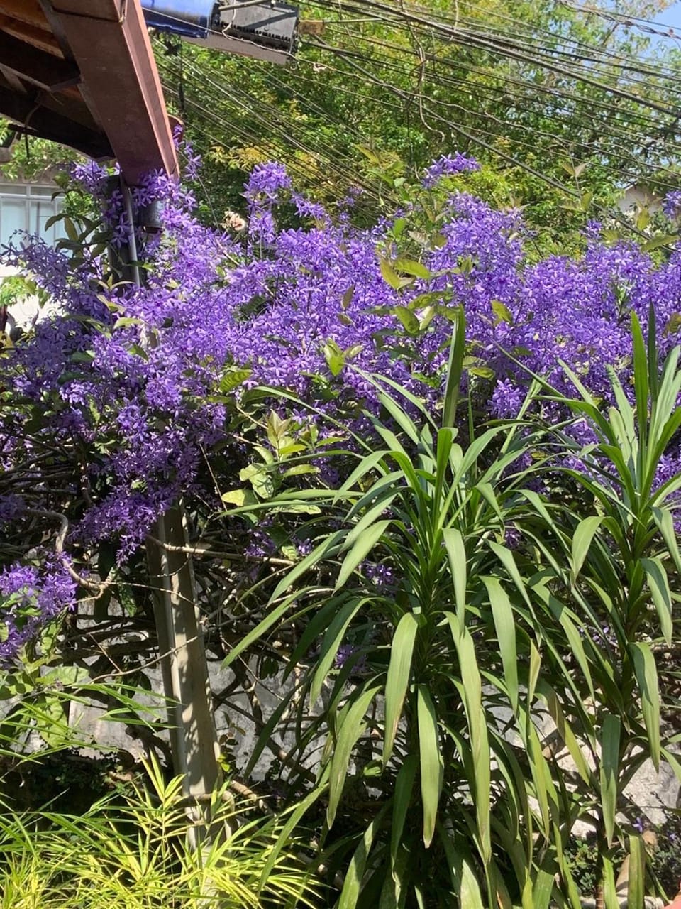 Pousada Villa Provence Bed and Breakfast in State of Rio de Janeiro