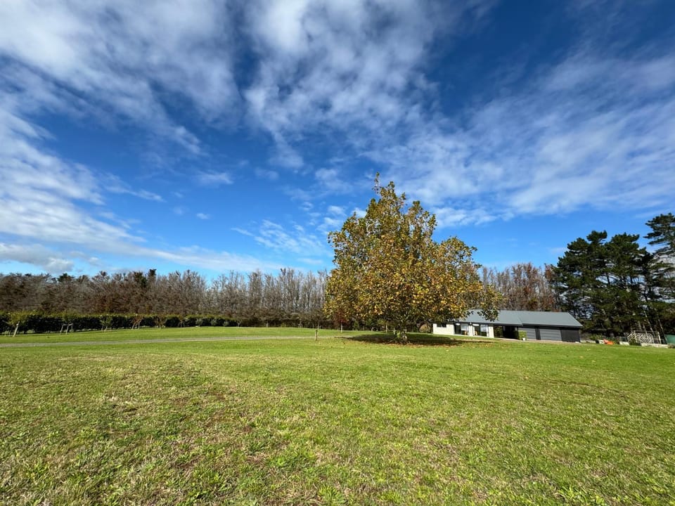 Natural landscape, Garden, Garden view