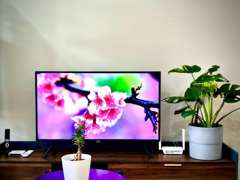TV and multimedia, Evening entertainment