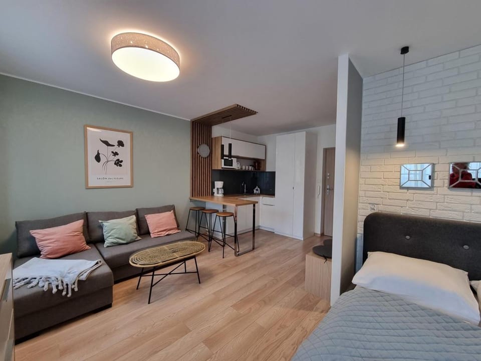 Living room, Photo of the whole room