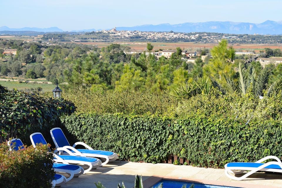 Spring, Day, Natural landscape, View (from property/room), Mountain view, sunbed