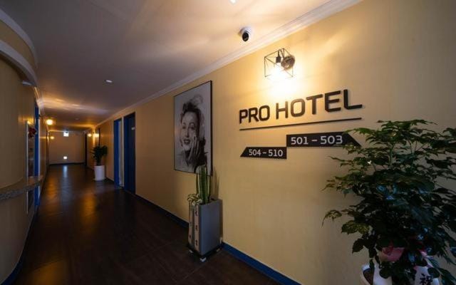 Pro Hotel Motel in Busan