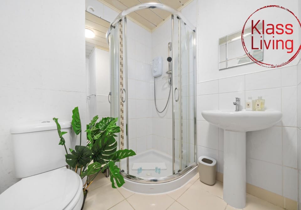 Shower, Toilet, Bathroom, Decorative detail, Guests, group of guests