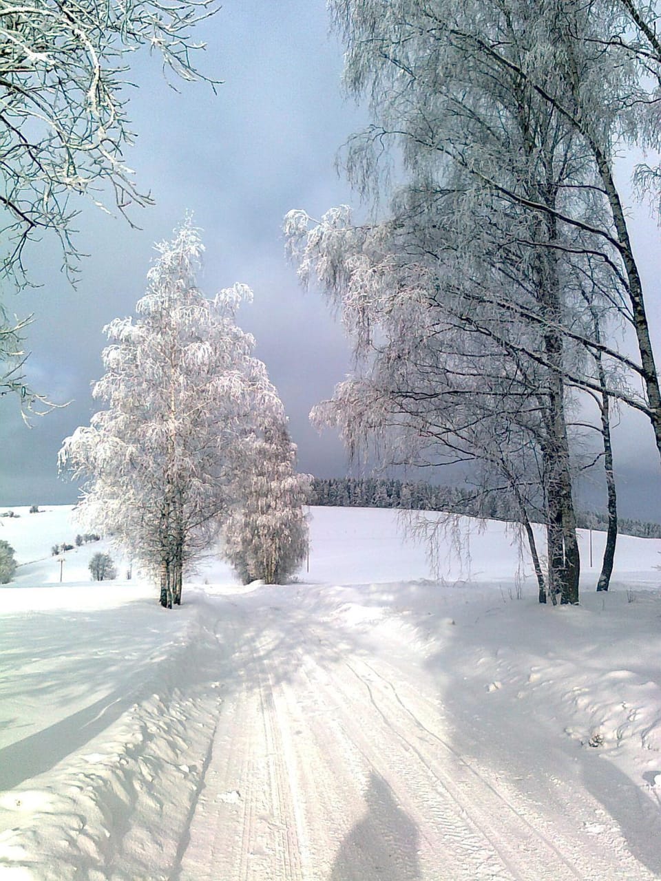 Penzion Pod Vyhlídkou Bed and Breakfast in Czechia