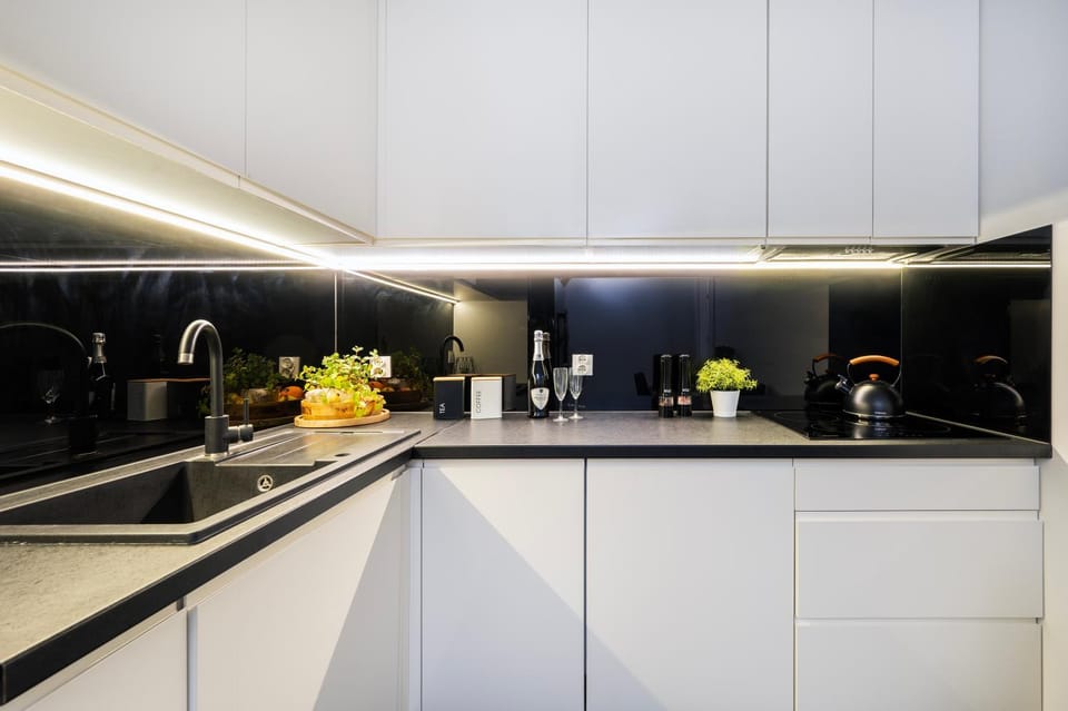 Kitchen or kitchenette, minibar, stove
