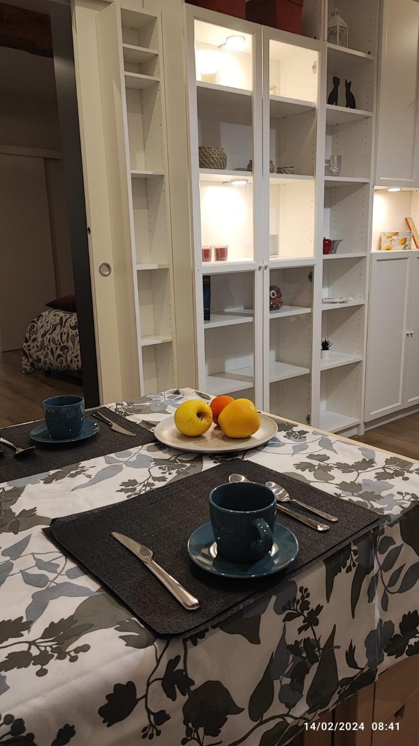 Petroni apartment - Centro storico di Bologna Apartment in Bologna