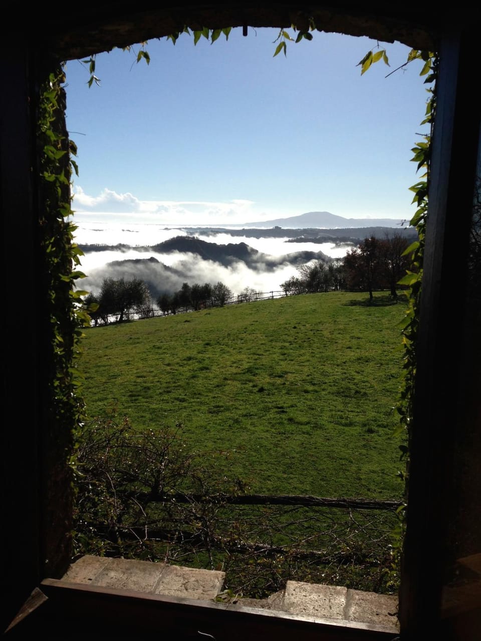 Garden view