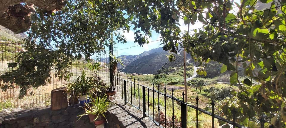 Natural landscape, Garden, Garden view, Mountain view
