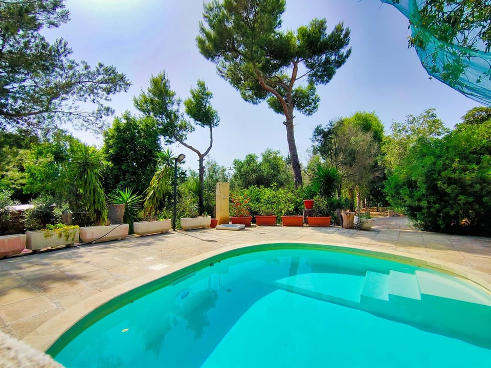 Garden, Swimming pool, Swimming pool